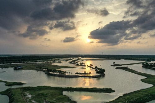 中國(guó)首個(gè)濱海濕地世界自然遺產(chǎn)擴(kuò)大 藍(lán)色朋友圈